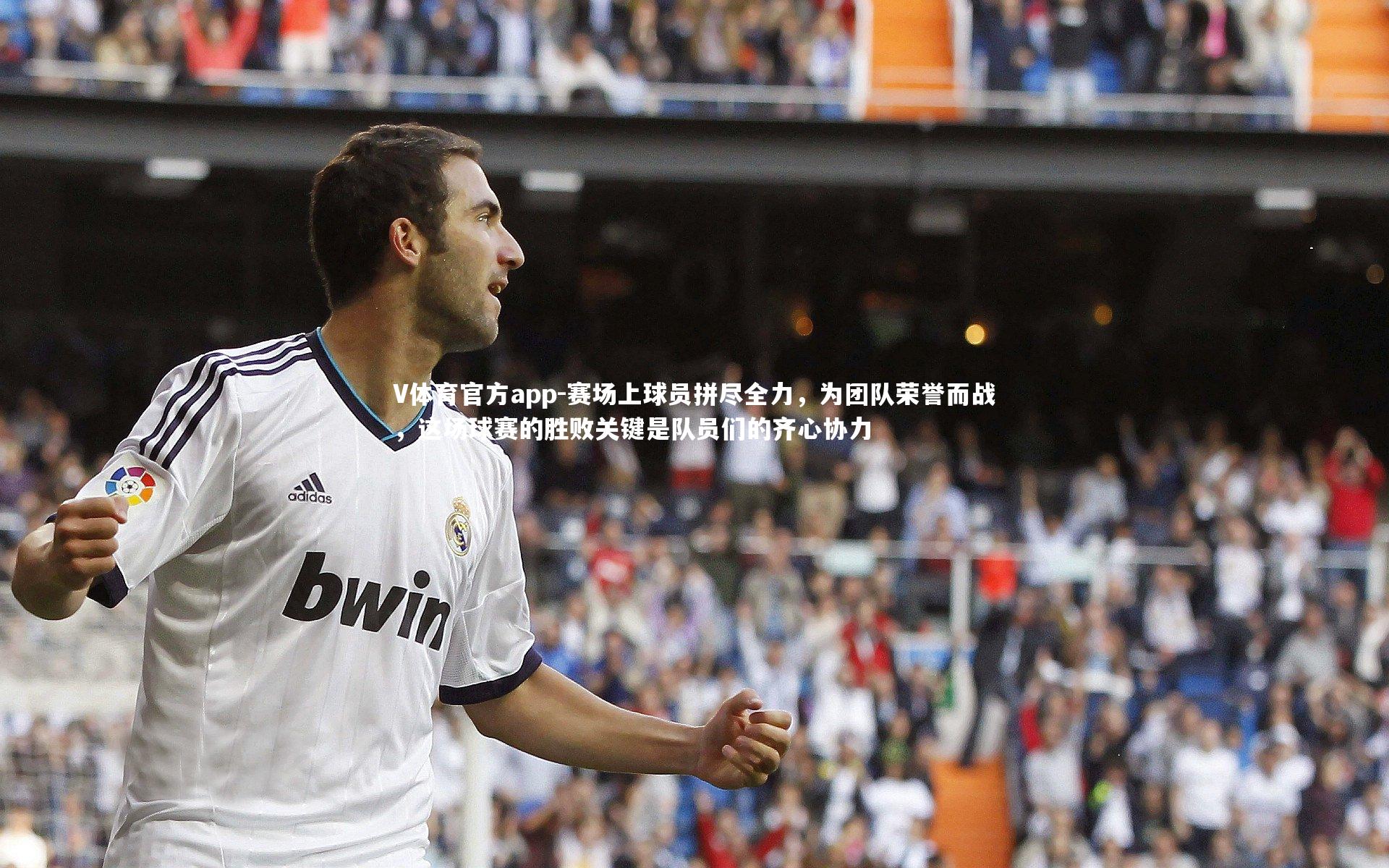 赛场上球员拼尽全力，为团队荣誉而战，这场球赛的胜败关键是队员们的齐心协力