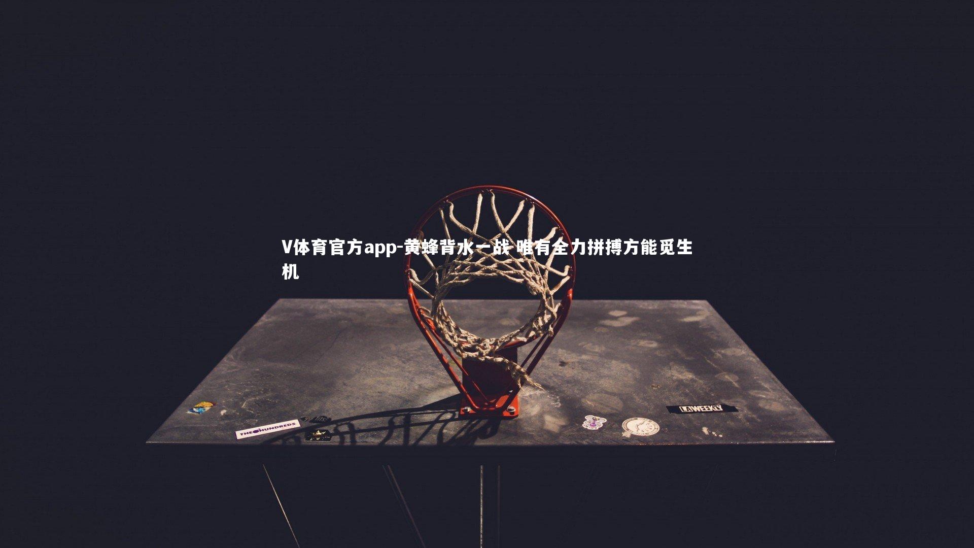 黄蜂背水一战 唯有全力拼搏方能觅生机